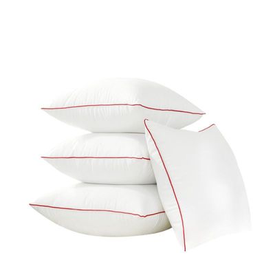 枕芯 一对装可水洗抱枕芯高弹沙发靠垫芯腰靠枕芯子4550正方形