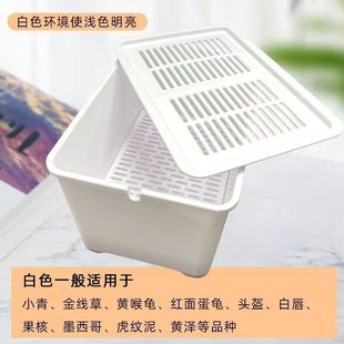 乌龟发色盒养龟幼龟孵化饲养盒蛋龟加温黑白隔离龟苗缸带盖