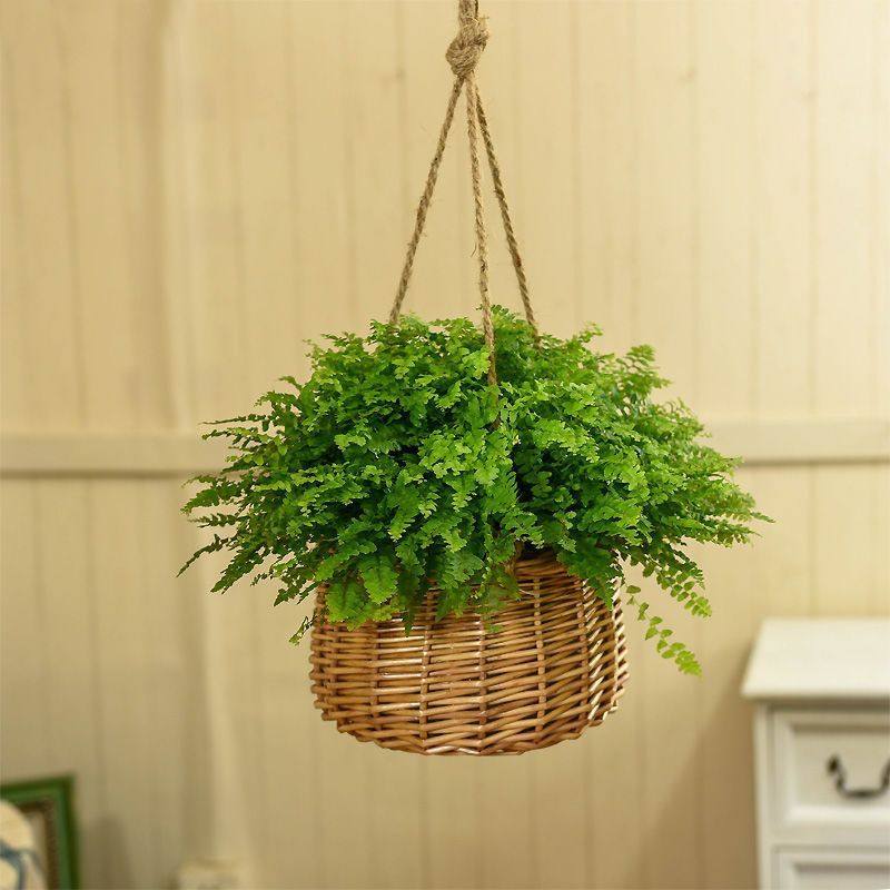 吊兰垂吊手工藤编草编悬挂式挂墙盆吊挂盆栽垂吊盆吊篮花盆,家居饰品,花篮,淘宝优惠券,粉丝福利购,淘宝优惠卷