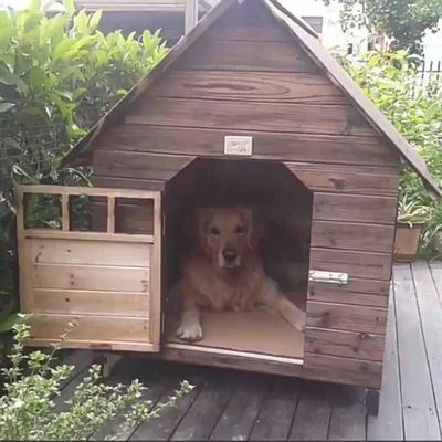 实木狗屋室外狗窝通用木制狗舍防雨宠物狗房子大型犬户外木屋挡风