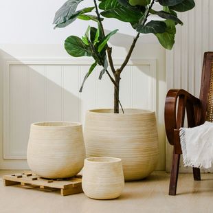 轻奢感中古风镁泥花盆大号黑金刚龙血树榕家用龟背竹花盆