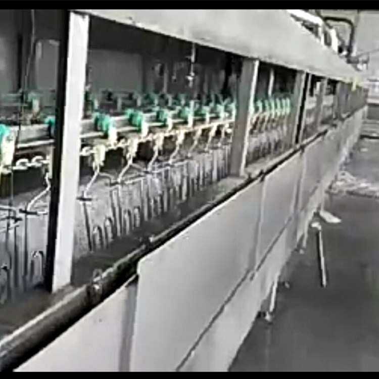 毛鸡鸭脱毛浸烫池 全自动屠宰烫池流水线 立式不锈钢家禽浸烫池