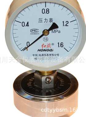 红旗隔膜压力表YTP-100XL微压表316法兰不锈钢压力表螺纹式隔膜表
