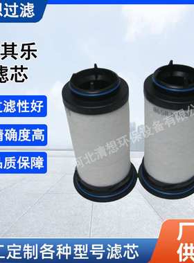 真空泵油雾分离器731630-0000 Rietschle里其乐VC202 VC303滤芯