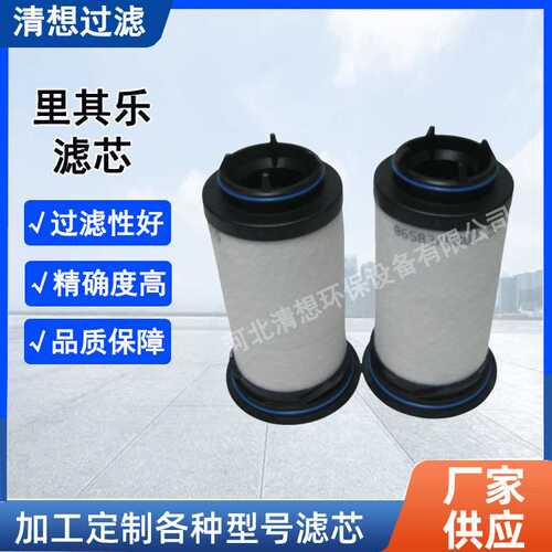 真空泵油雾分离器731630-0000 Rietschle里其乐VC202 VC303滤芯
