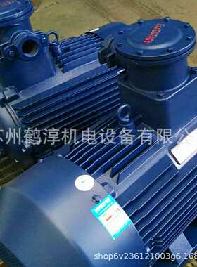 低压三相YBX3-180M-4 18.5KW-4P-B3防爆电动机EXDIIBT4现货销售