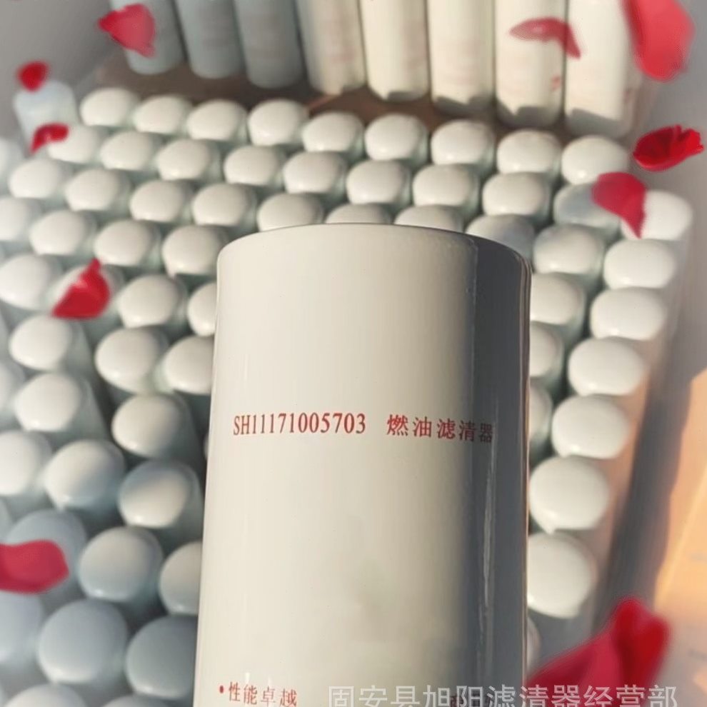 供应 FS20169 91FG026 5523457燃油滤芯 商用车油水分离滤清器