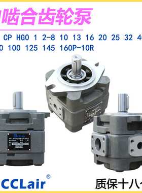 APG4内啮合APG3齿轮泵APGH2 CP0-10/13/16P CP1 HG0 HG1 HG2-80P