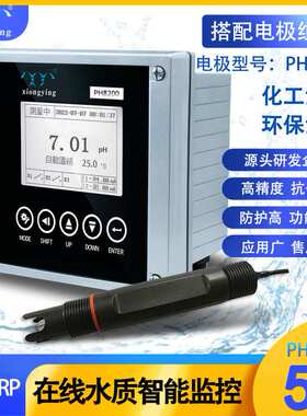 雄莹科技PH8200控制器与电极组合工业在线污水检测PH塑壳纯水电极