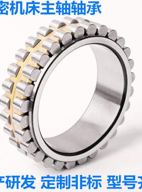 N1006-K-M1-SP精密机床主轴轴承N1010K.M1.SP-N1930K.M1.SP工厂家