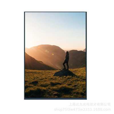 10.1寸液晶显示 液晶显示模组带MIPI接口 全视角分辨率800X1280