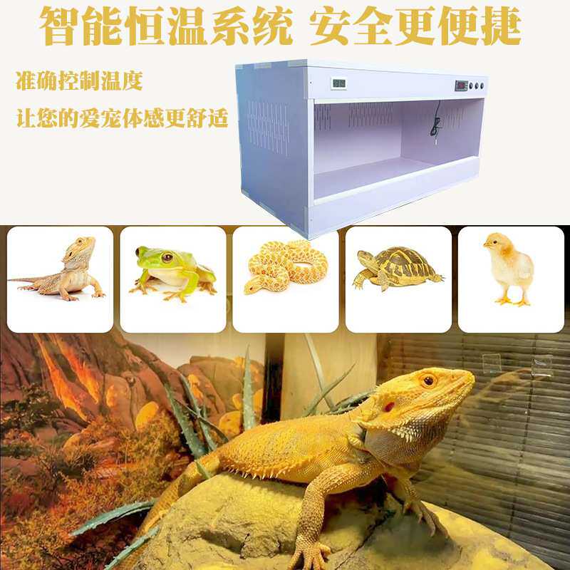 PVC爬虫爬宠箱智能恒温蜥蜴陆龟蜘蛛蛇宠物刺猬守宫保温箱饲养箱