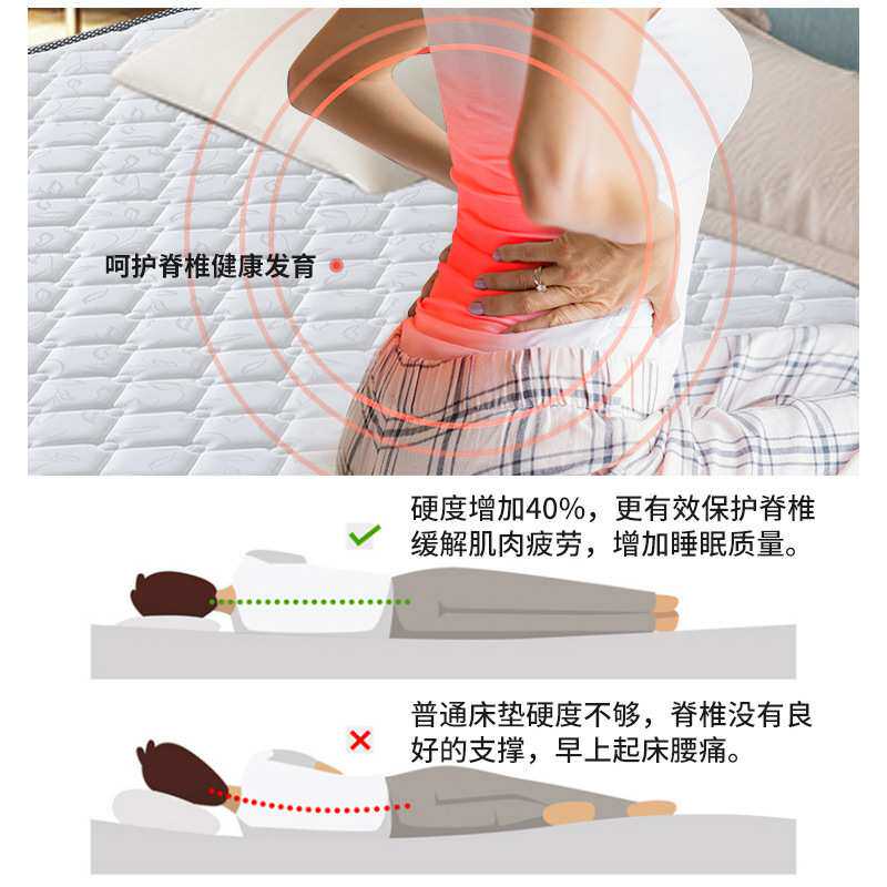 加硬护脊护腰棕榈硬垫榻榻米椰棕床垫棕垫出租房儿童专用硬垫子