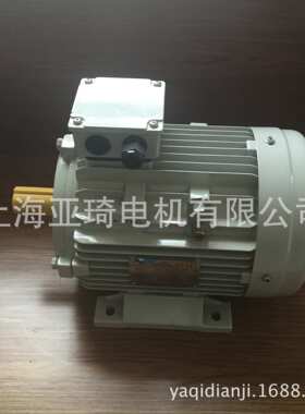 THREE-PHASE INDUCTIONMOTOR电动机、马达