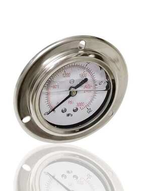 全钢耐震压力表不锈钢轴向带前边304埋入法兰YNBF60ZT 20MPA G1/4