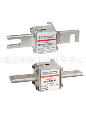 罗兰熔断器    A120UD71TTI550 L301034 A120UD71TTI630 M301035