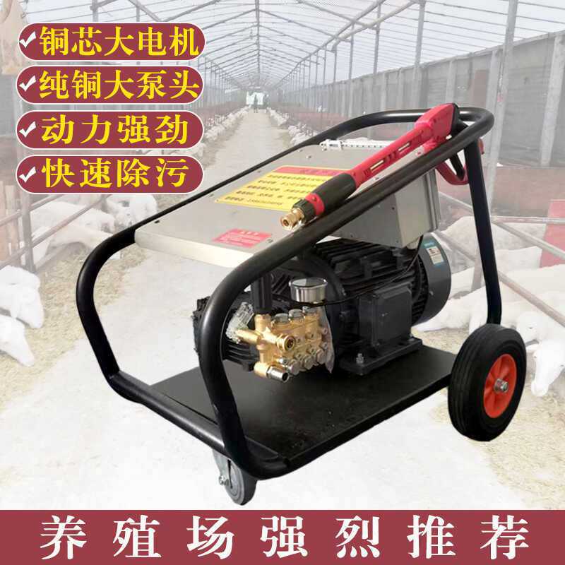 380V 商用工业清洗机养殖场冲洗机超高压洗地机大功率清洗机泵头