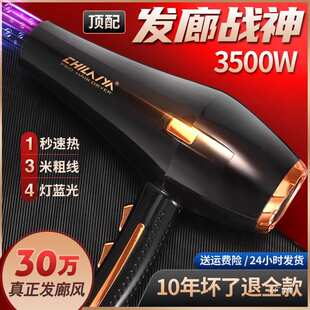 德国电吹风机家用大功率发廊专用理发店3500w负离子护发速干吾购