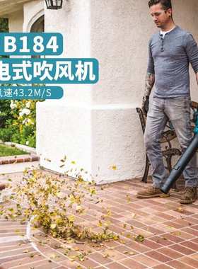 18V锂电充电式割草机园林草坪修剪机DLX2051ST园林工具 D