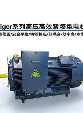 marathon马拉松系列高压电动机紧凑型电机HCM3151-2