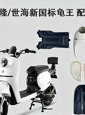 适用雅迪欧韵B新国标电动