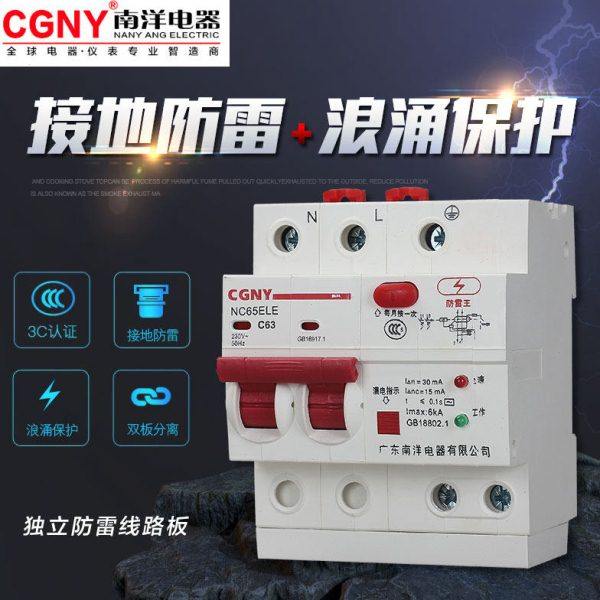 广东南洋电器漏电保护器家用总开关防雷浪涌电热水器断路器220V63,电子/电工,漏电保护器,淘宝优惠券,粉丝福利购,淘宝优惠卷