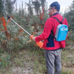 【加强版】电动果实采摘机震动果实采收采打器实用沙棘山茱萸青梅