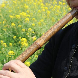 箫特制专业香免费刻字包邮妃乐器八孔洞箫楚吟 梦兮演奏订做高端