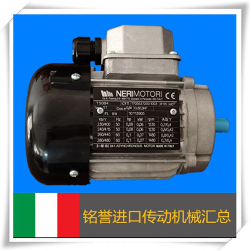 原装NERI MOTORI三相异步交流电机T132SB2 7.5KWV三相异步进口马