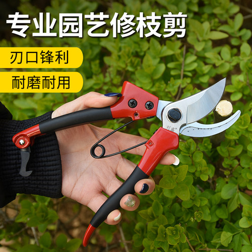 刘盛p-v8修枝剪刀果树剪粗枝剪家用手剪花剪园林剪枝剪工具