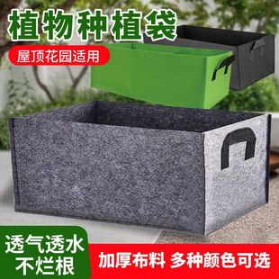 无纺布种植袋美植袋种植神器种植盆庭院阳台种菜盆植物花盆育苗袋