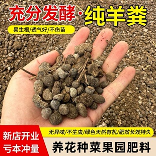 羊粪蛋颗粒发酵有机肥颗粒羊屎蛋农家肥花卉盆栽果蔬通用专用肥料
