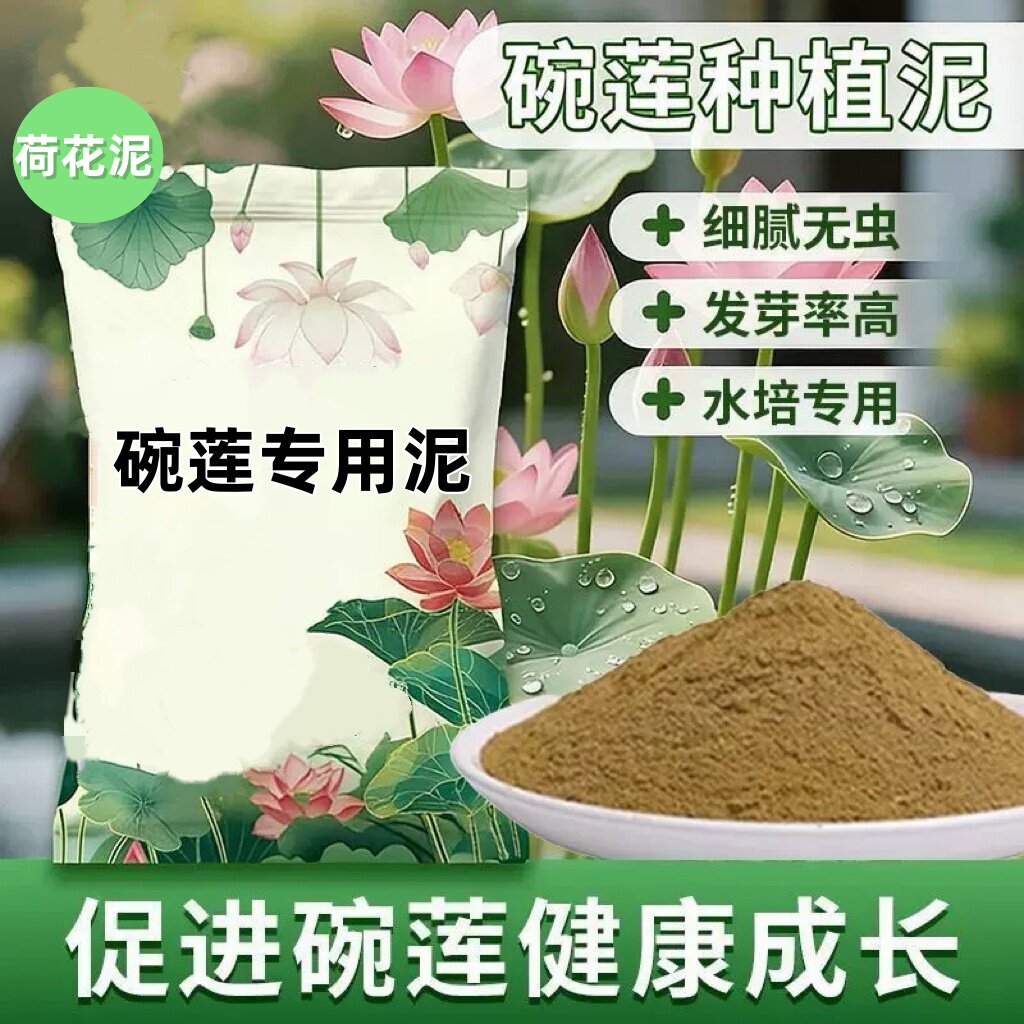 碗莲专用泥荷花铜钱草水培泥炭土