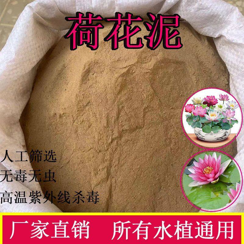 碗莲专用泥荷花铜钱草水培泥炭土