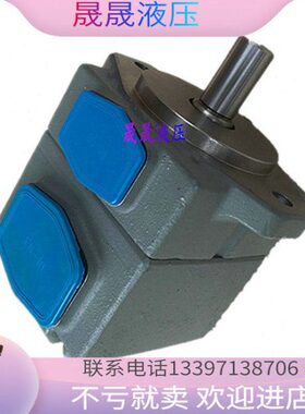 PUL/3RV23R310克V-7油泵特叶片泵6--F-6/12/13P海/1-65/615260//5