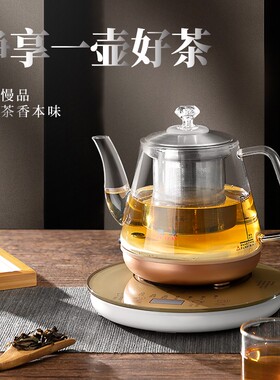 德源电热水壶全自动煮茶器玻璃养生炉家用恒温一体小型烧水随手泡