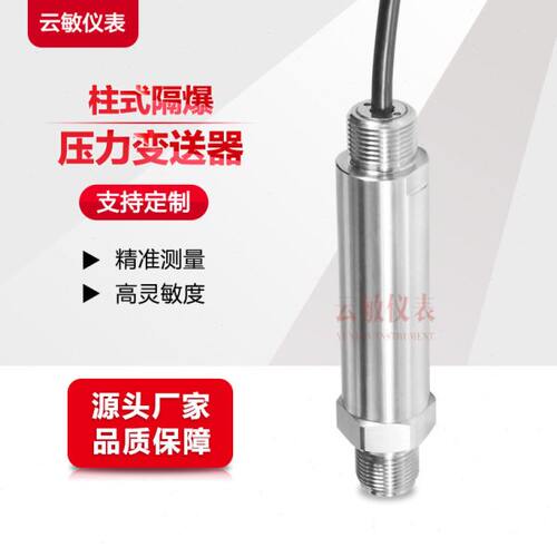 PM302防爆压力变送器传感器