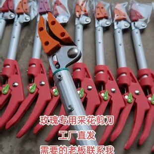 高枝剪玫瑰抬剪打尖神器采花神器摘果蔬剪刀
