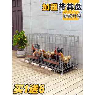 养鸭子笼子鸡笼子家用大号特大号自动滚蛋清粪折叠养殖笼鸡舍鸡窝