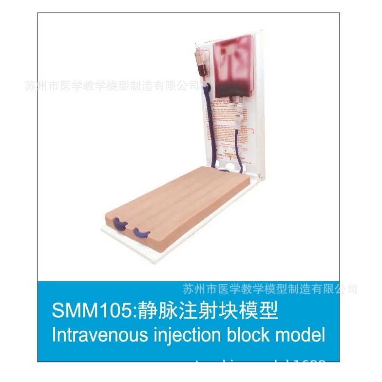 厂家直供SMM系列身体器官模型 直供人体教学模具器官模型,文具电教/文化用品/商务用品,教学标本/模型,淘宝优惠券,粉丝福利购,淘宝优惠卷
