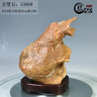 琴书侣 灵璧石5386号 观赏石 奇石 商务礼品 家居工艺品装饰摆件