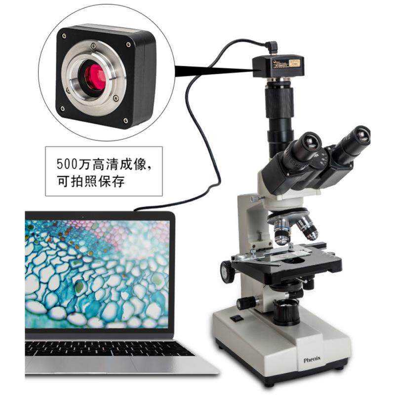凤凰显微镜XSP-36TV-1600X倍三目TV学生教学光学实验生物切片显微