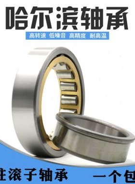 圆柱滚子轴承NJ416 417 418 419 420 422 424 426 428EM