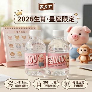 广东樟木头观音山矿泉水家乡井208ml*12瓶mini便携装小支天然饮用