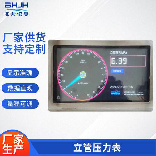 青岛厂家供应TJF-SL立管压力表量程可调节可存储历史记录数据