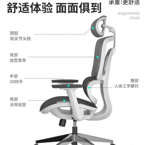 卓猫护腰靠可躺人体工学椅家用办公学习久坐电脑椅小个子学生午睡
