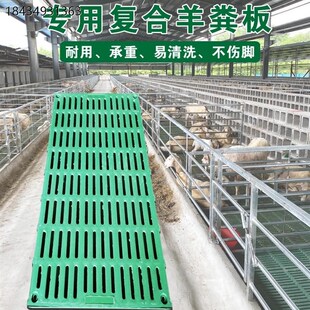 羊床漏粪板羊舍加厚塑料接粪板羊圈养羊专用产床漏粪板养殖场设备