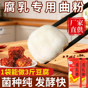 腐乳曲粉正宗霉豆腐曲粉家用曲子臭豆腐曲粉做豆腐乳豆豉的毛霉菌