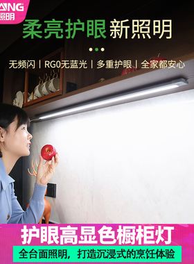 手扫感应橱柜灯led柜底灯220V插电式鞋柜灯条有线长条形厨房灯带