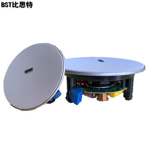 重低音家b用定阻分频吸顶喇叭音箱背景音乐嵌入式店铺同轴吊顶音